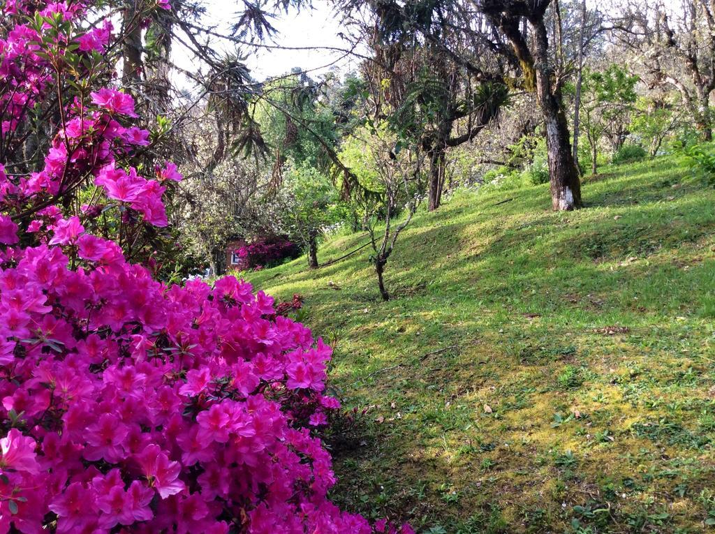 Sitio Nossa Senhora De Loreto Campos do Jordão Εξωτερικό φωτογραφία