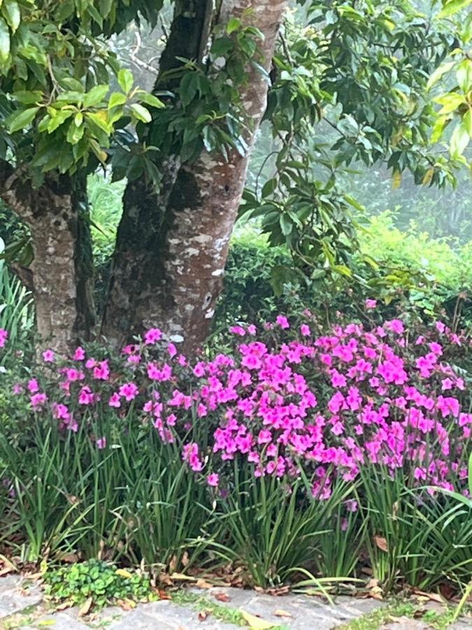 Sitio Nossa Senhora De Loreto Campos do Jordão Εξωτερικό φωτογραφία