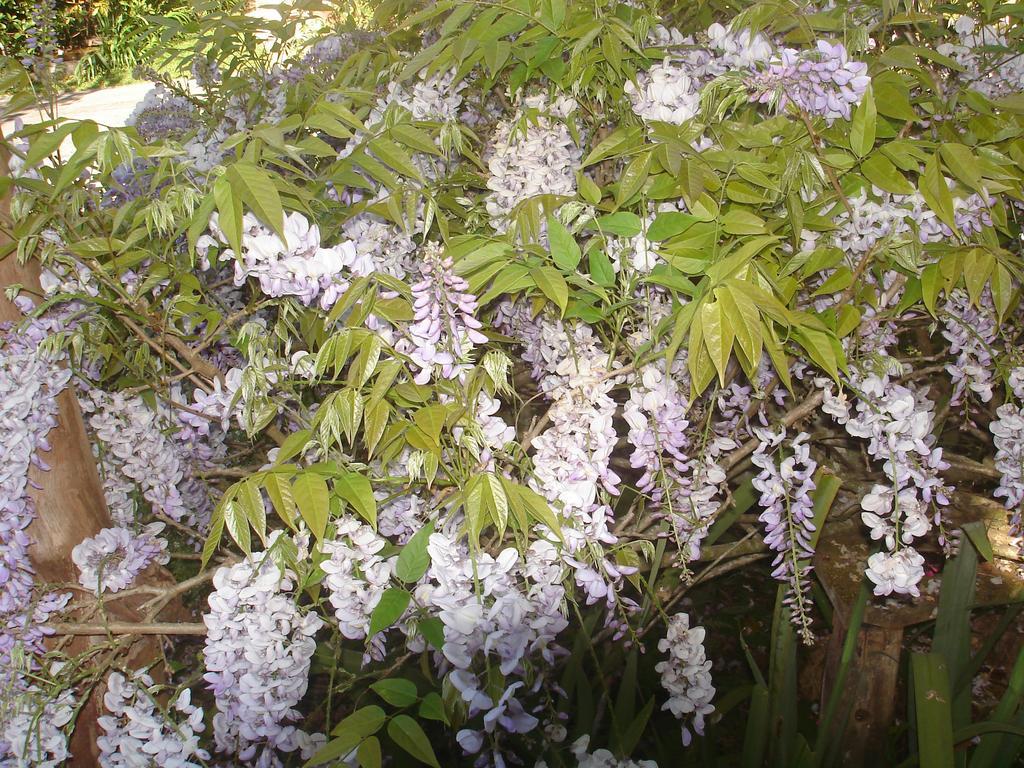 Sitio Nossa Senhora De Loreto Campos do Jordão Εξωτερικό φωτογραφία